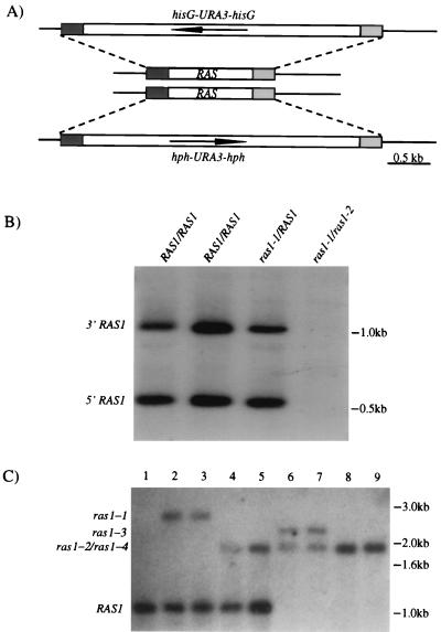 FIG. 3