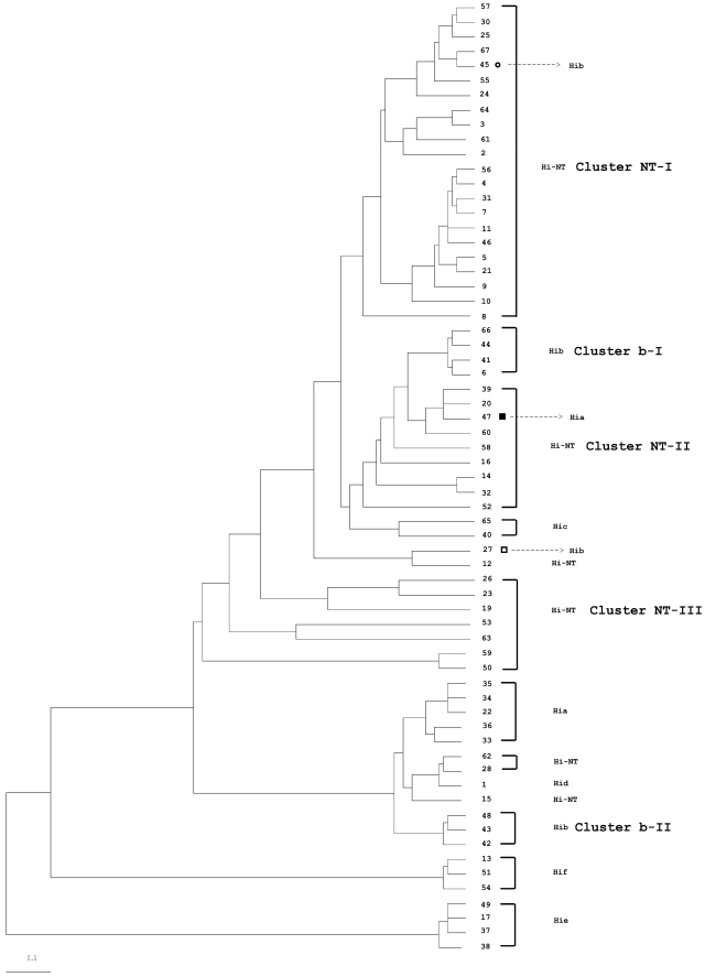 FIG.1.