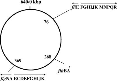 FIG. 1.