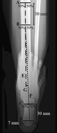 Fig. 4