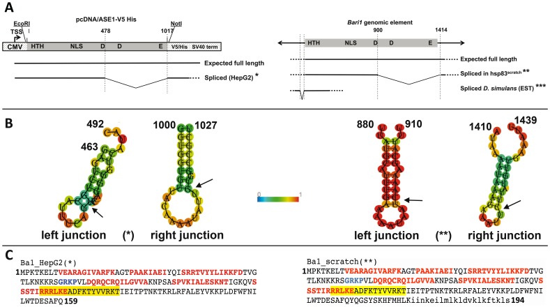 Figure 7