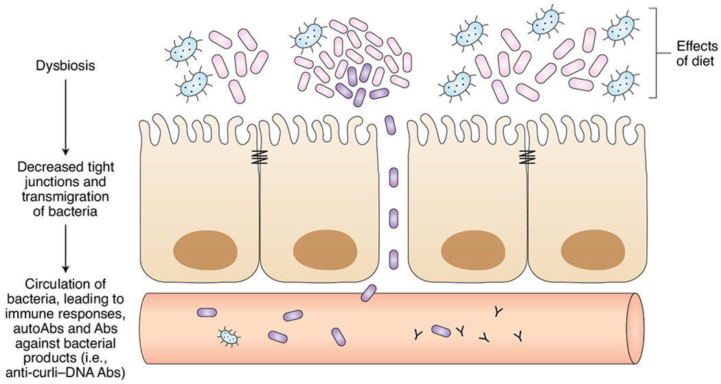 Fig. 1 |