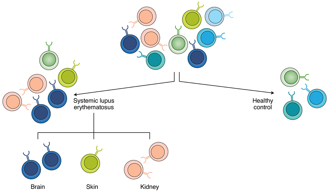 Fig. 2 |