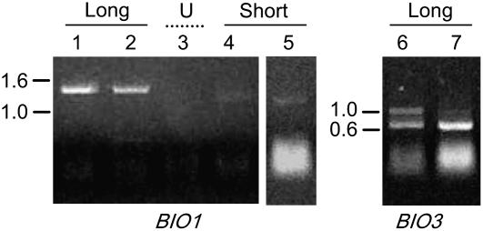 Figure 9.