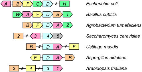 Figure 6.