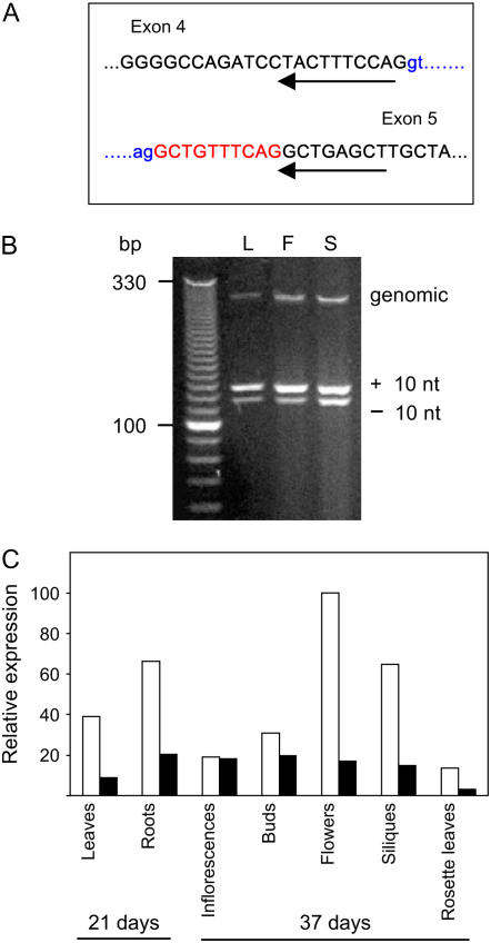 Figure 5.