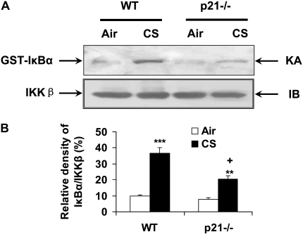 Figure 9.