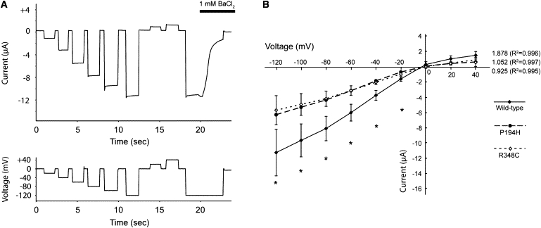 Figure 2