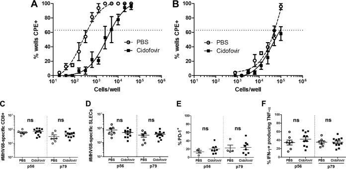 FIG 6