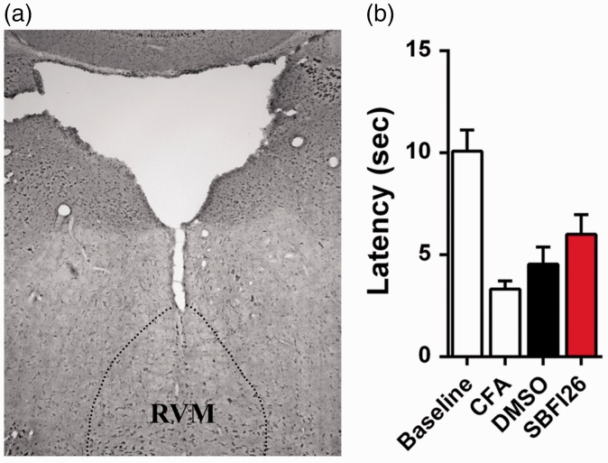 Figure 10.