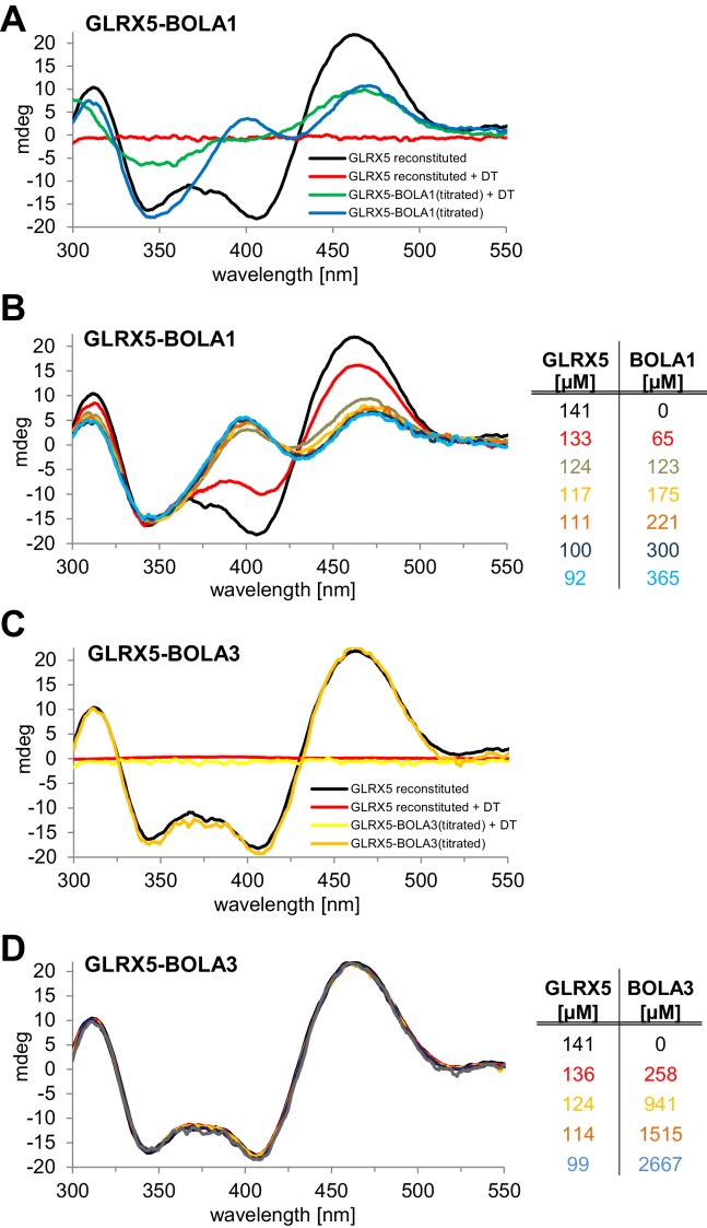 Figure 7—figure supplement 1.