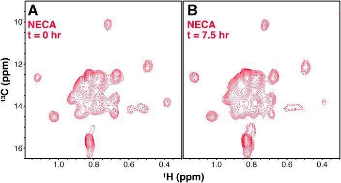 Figure 2—figure supplement 3.