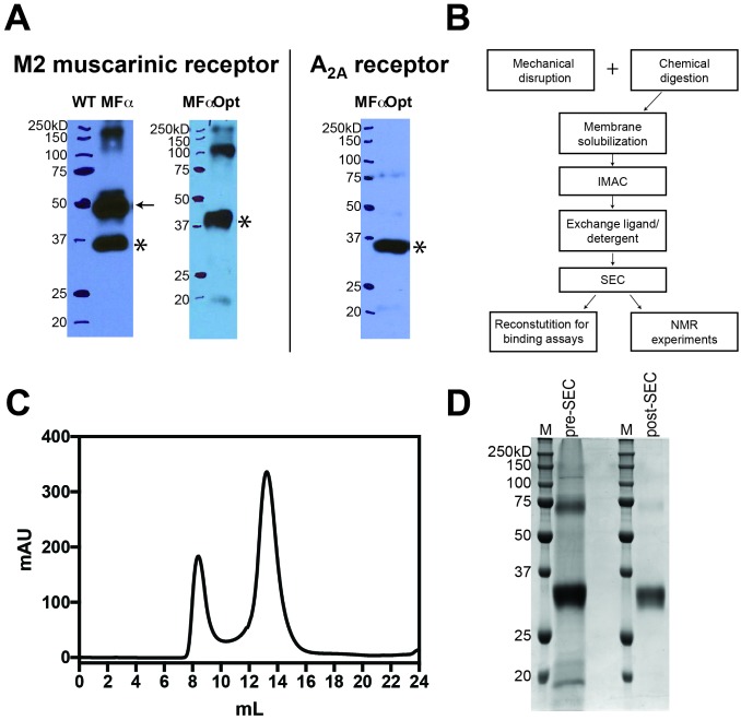 Figure 1—figure supplement 1.