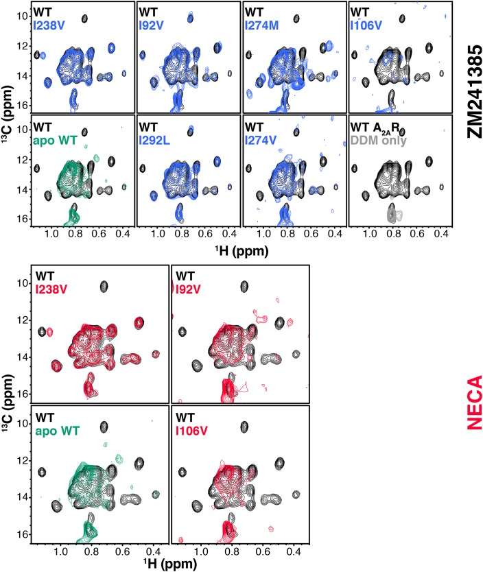 Figure 2—figure supplement 2.