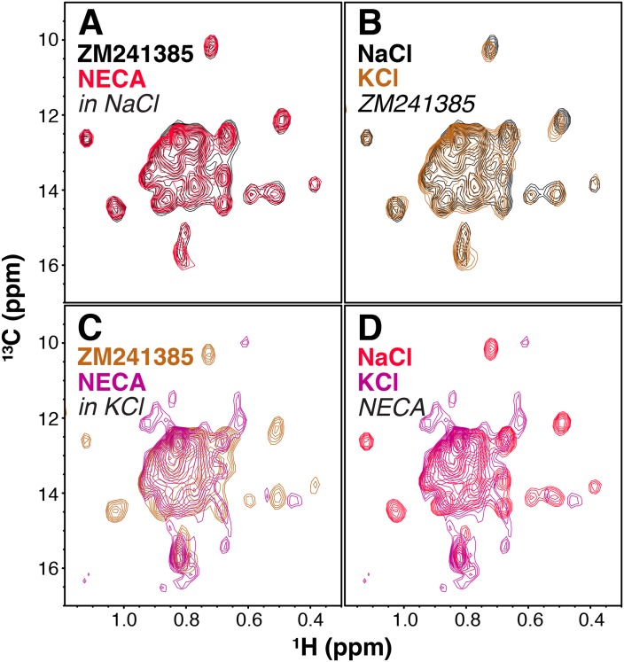 Figure 3—figure supplement 1.