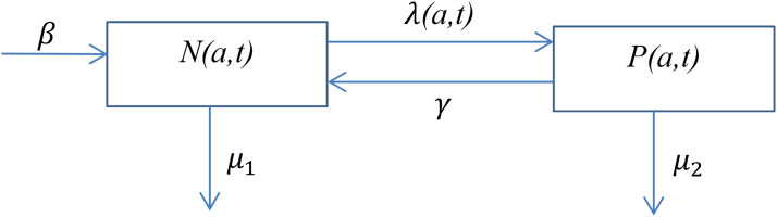 Fig. 1.