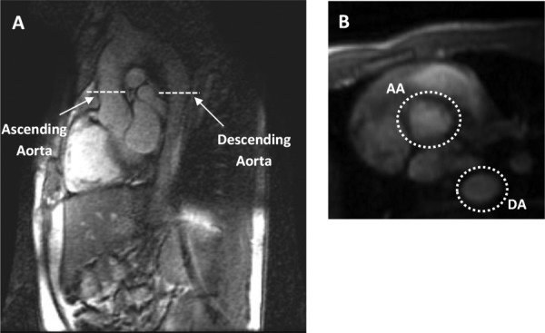 Fig. 6