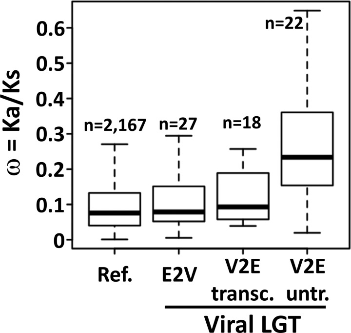 Fig. 4.—