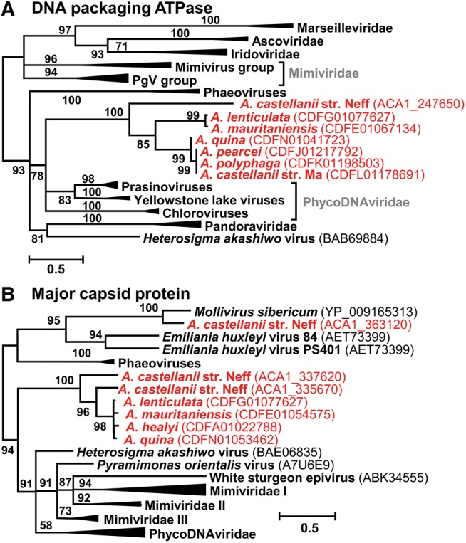 Fig. 6.—