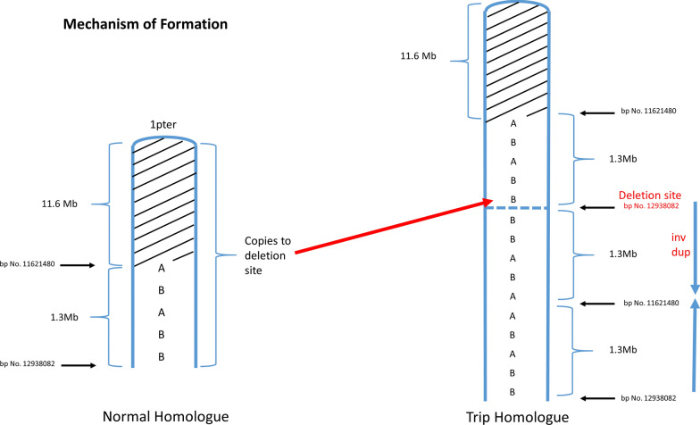 Fig. 16