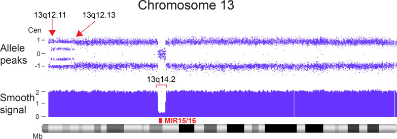 Fig. 19