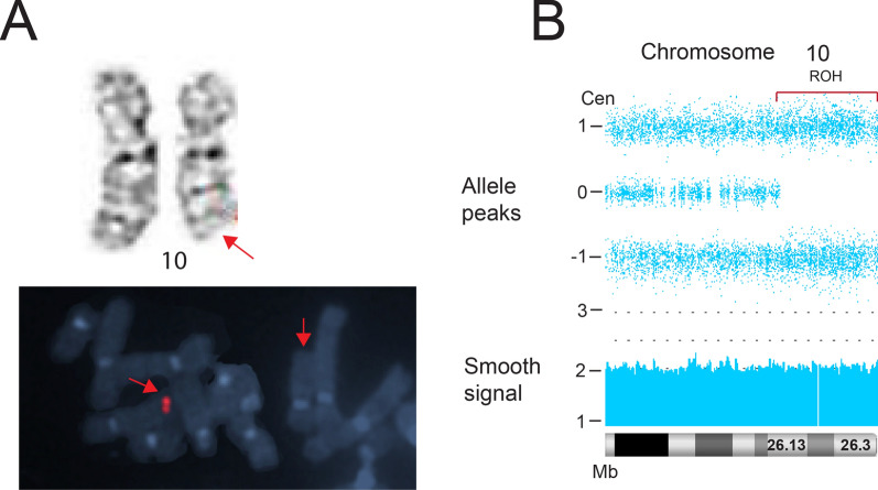 Fig. 10