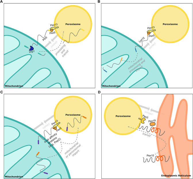 Fig 10