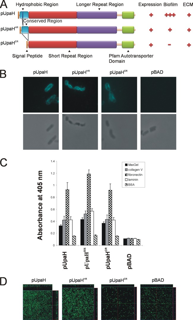 Fig 4