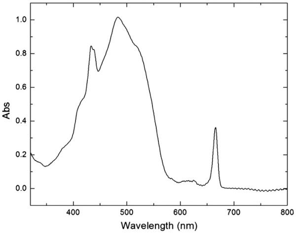 Fig. 5