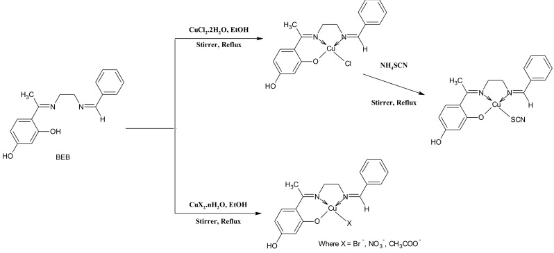 Scheme 1