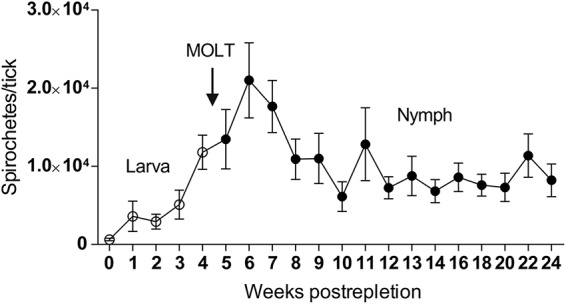 FIG 2