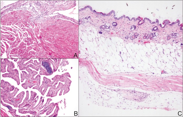 FIG 1