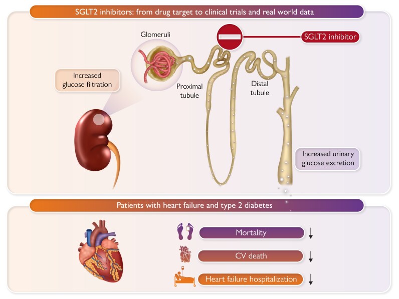 Graphical Abstract