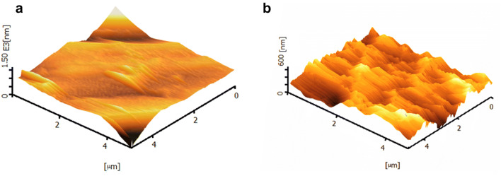 Fig. 6