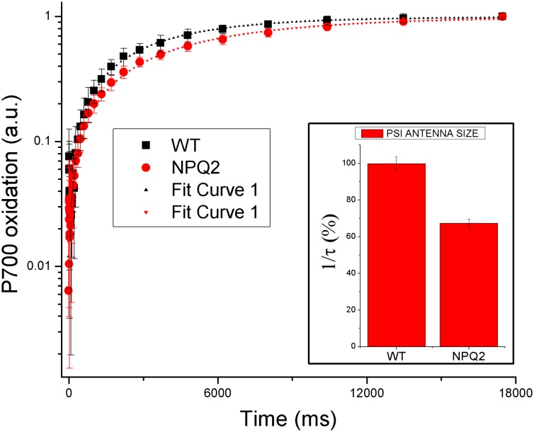 Fig. 2.