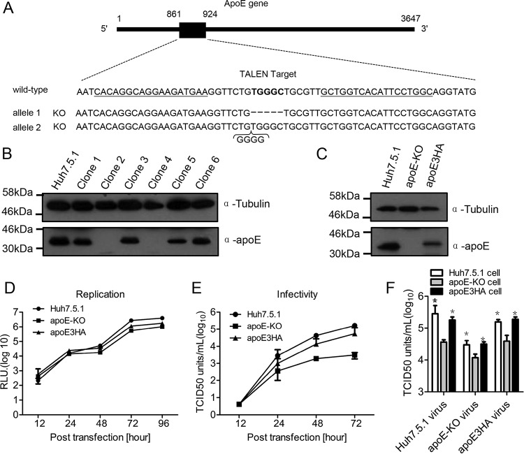 FIG 1