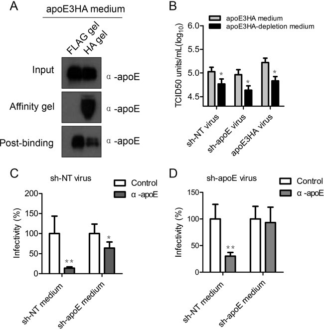 FIG 6