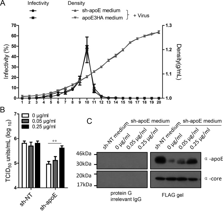 FIG 9