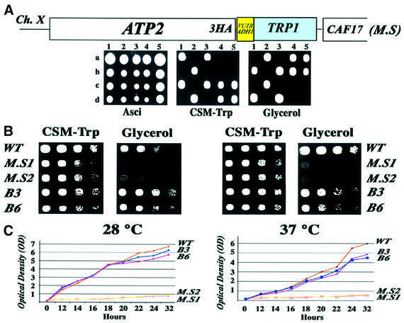 graphic file with name cdf690f2.jpg