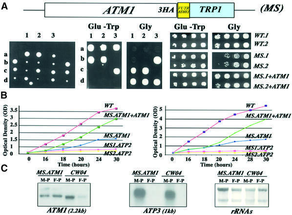 graphic file with name cdf690f6.jpg