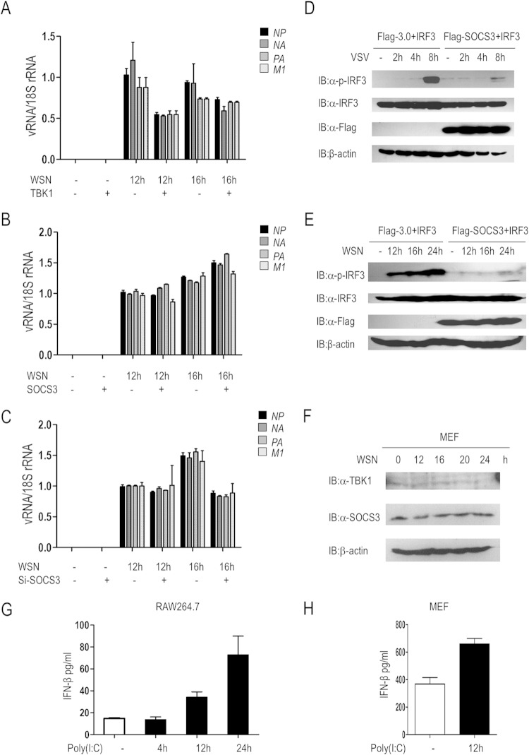 FIG 7