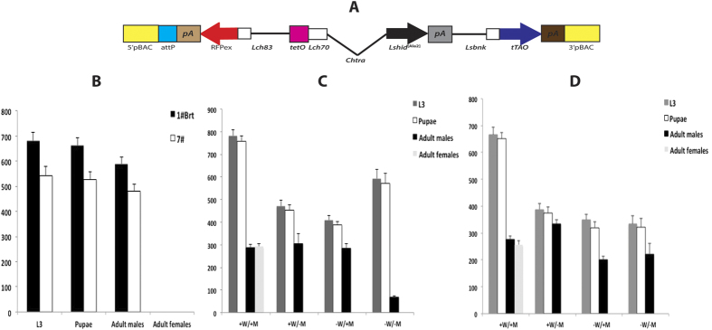 Figure 5