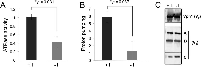 FIGURE 7.