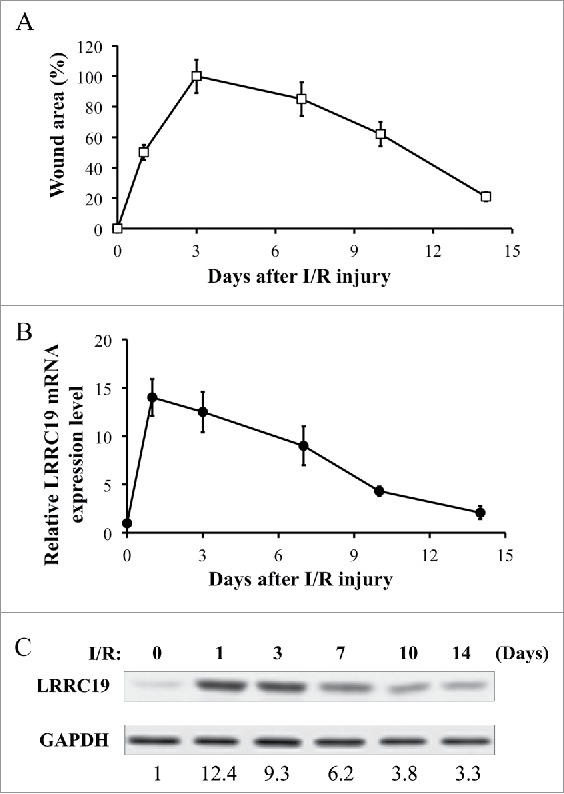 FIGURE 1.