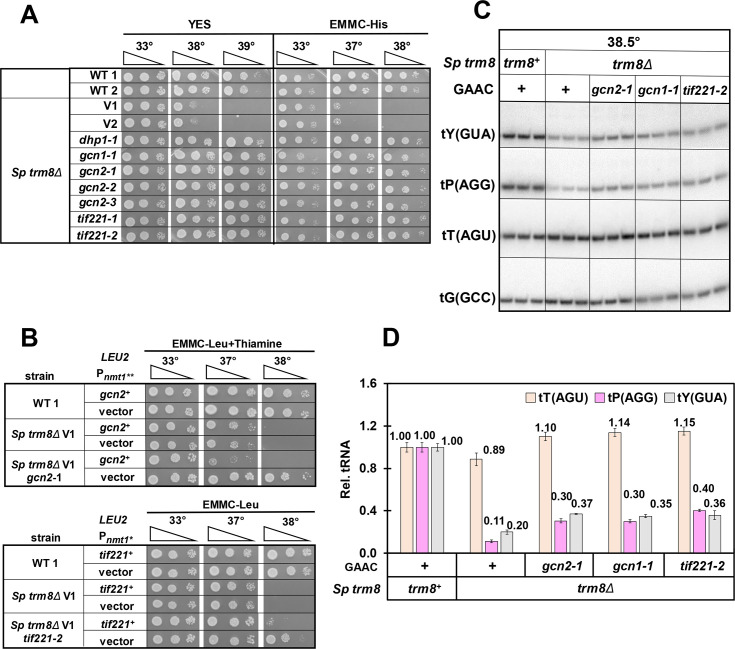 Fig 4