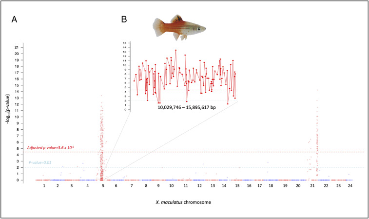 Fig. 2.