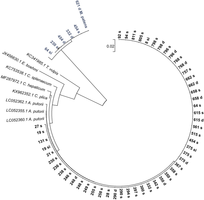 Fig. 2