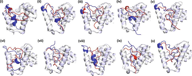 Fig. 7