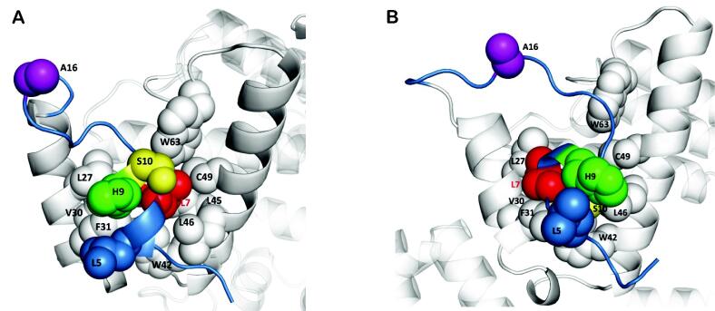 Fig. 6