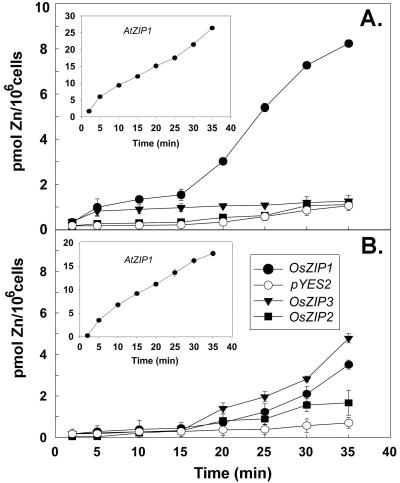 Figure 3.